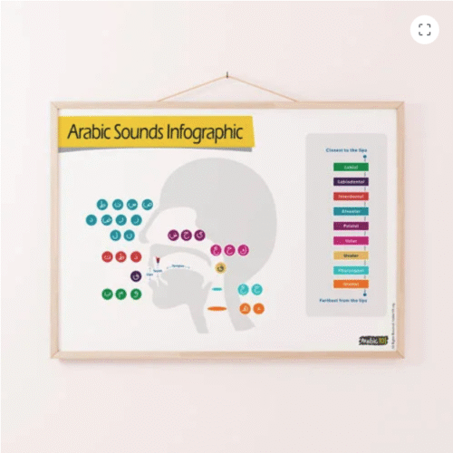 Arabic Letters Sound Articulation Poster